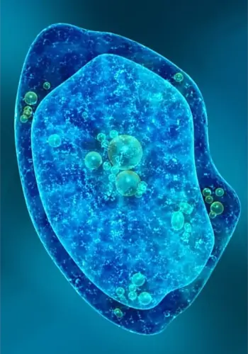 Cellular Analysis