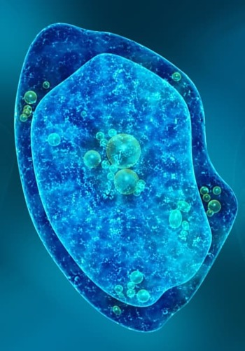 Cellular Analysis