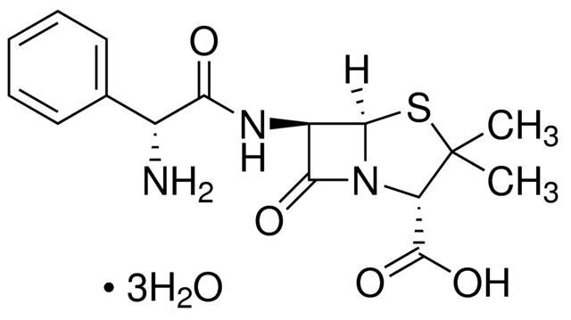 Ampicillin