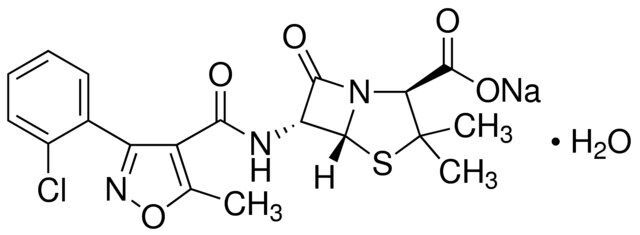 Cloxacillin sodium