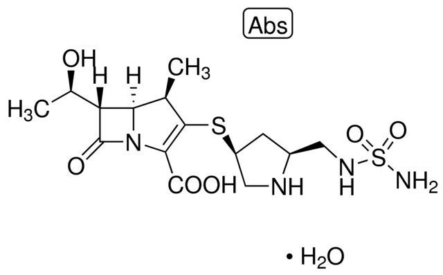 Doripenem monohydrate