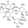 Clarithromycin