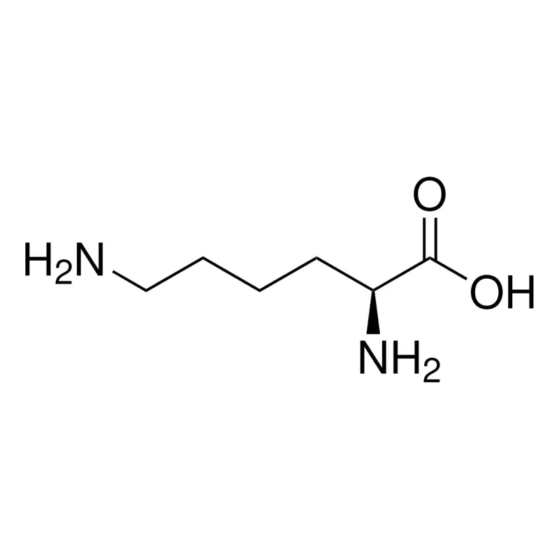 L-Lysine