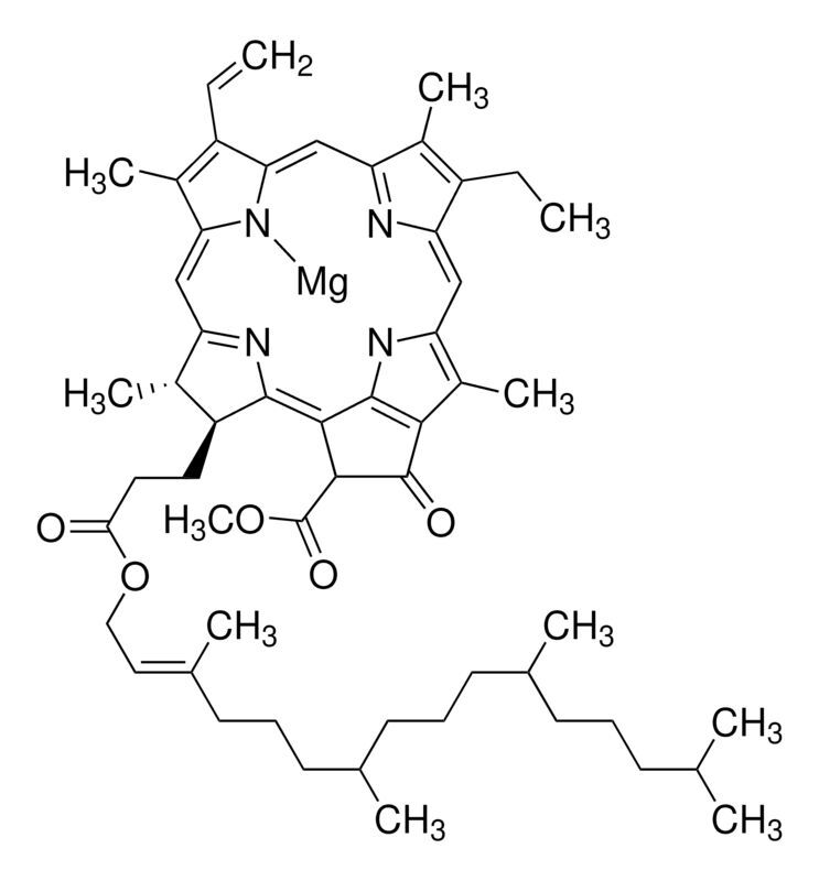 Chlorophyll a