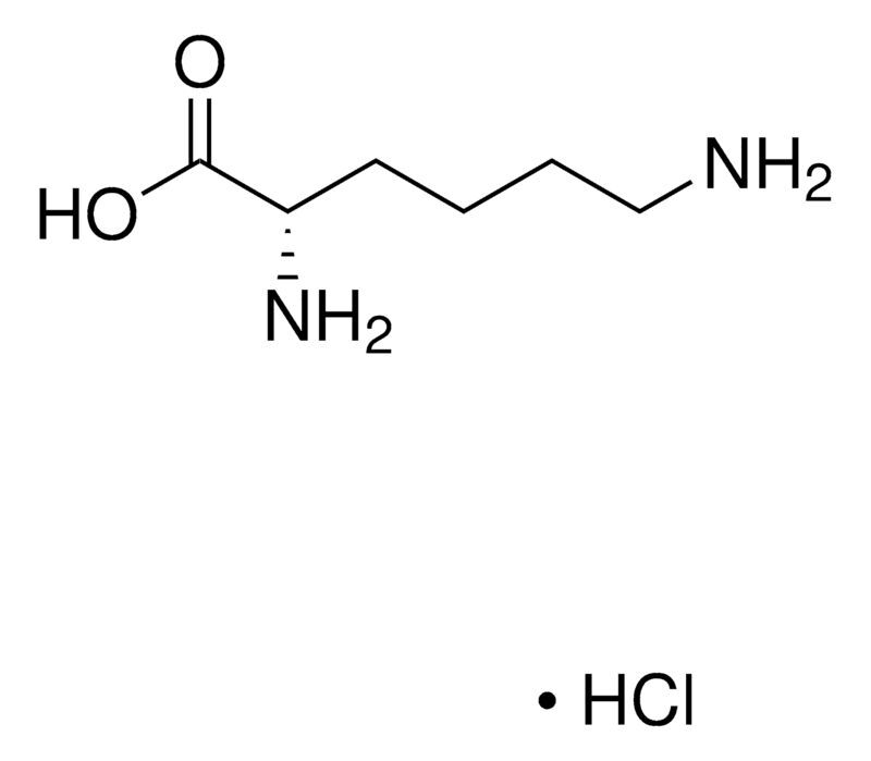 L-Lysine hydrochloride solution