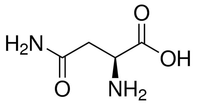Asparagine anhydrous