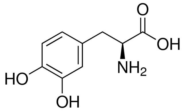 3,4-Dihydroxy-L-phenylalanine