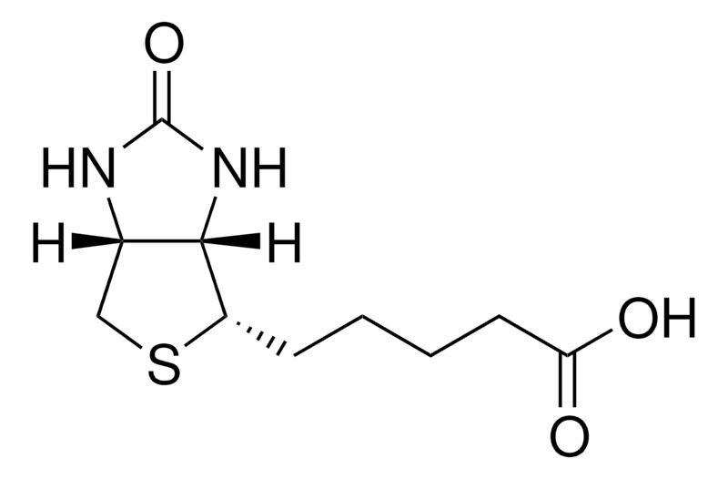 Biotin