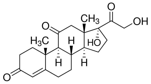 Cortisone