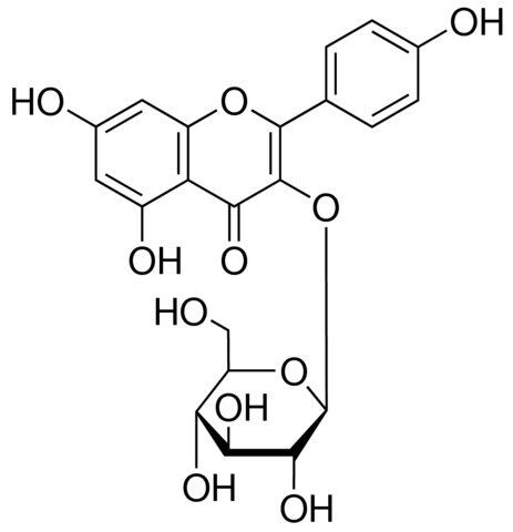 Kaempferol 3-glucoside