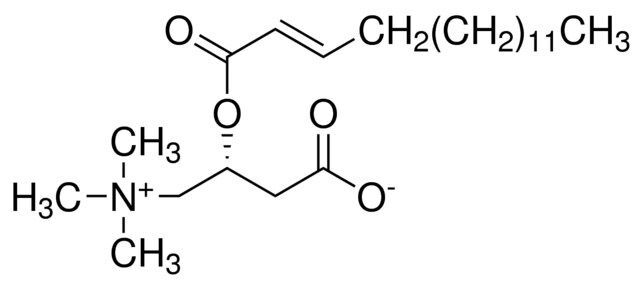 trans-2-Hexadecenoyl-L-carnitine
