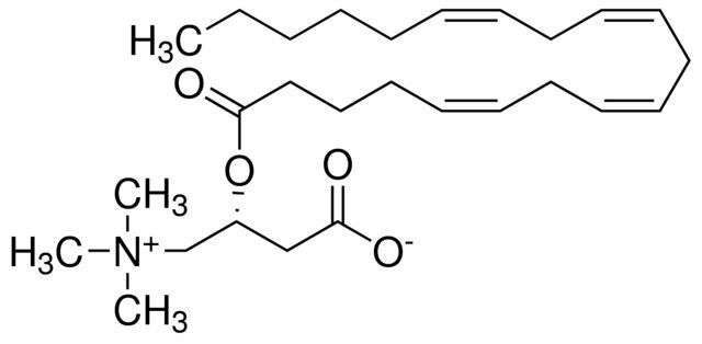 Arachidonyl-L-carnitine