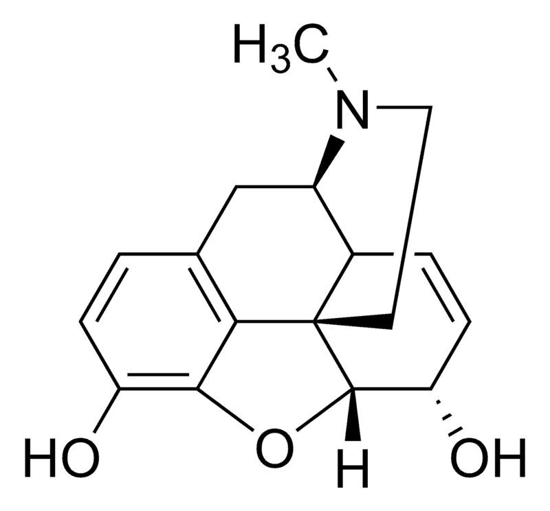 Morphine solution