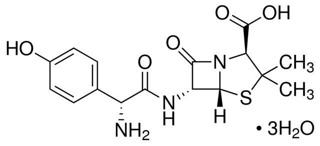 Amoxicillin
