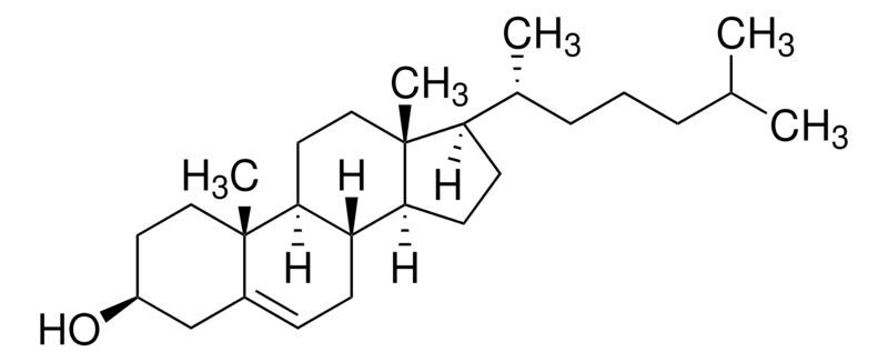 Cholesterol