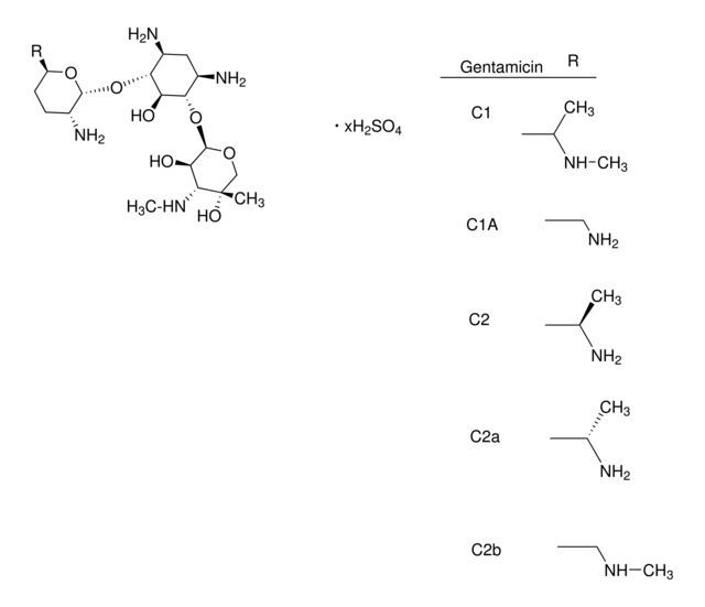 Gentamicin solution