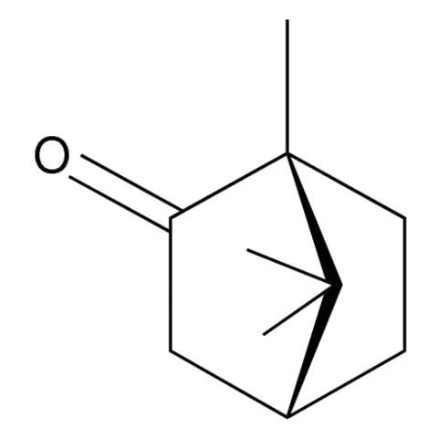 (1R)-(+)-Camphor