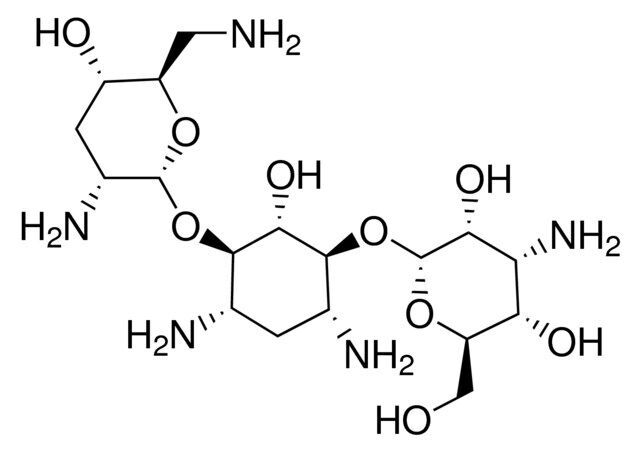 Tobramycin