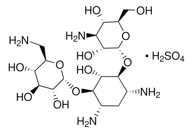 Kanamycin monosulfate