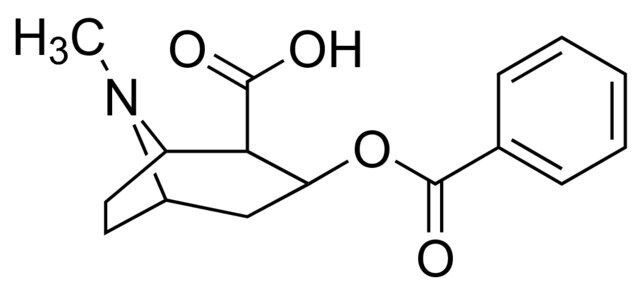 Benzoylecgonine solution