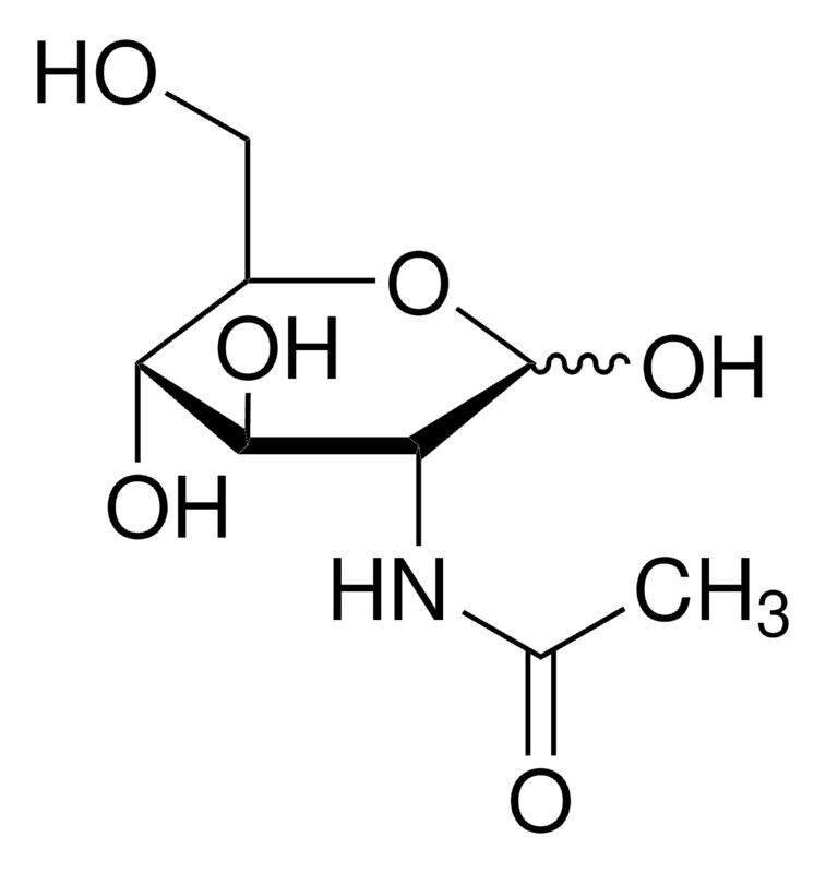 N-Acetylglucosamine