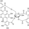 Punicalagin