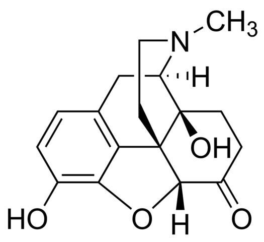Oxymorphone solution