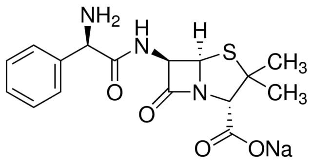 Ampicillin Sodium
