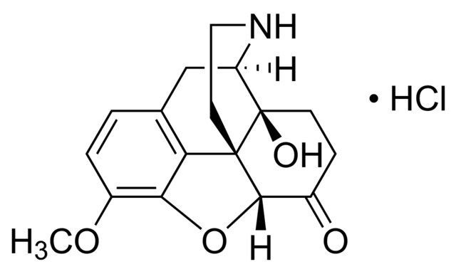 Noroxycodone hydrochloride solution