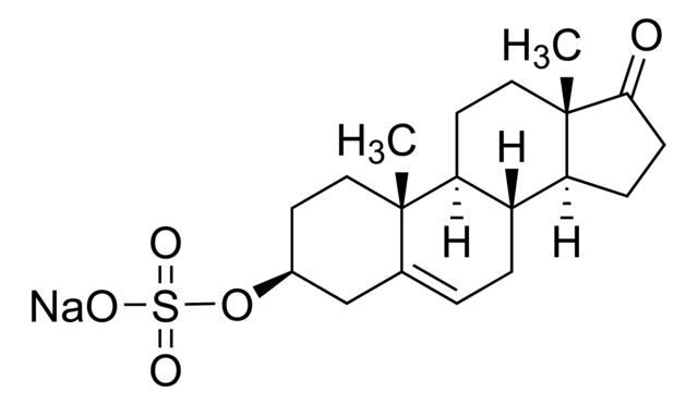 Dehydroepiandrosterone 3-sulfate (DHEAS) sodium salt solution