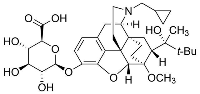 Buprenorphine glucuronide solution