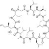 Cyclosporin A solution