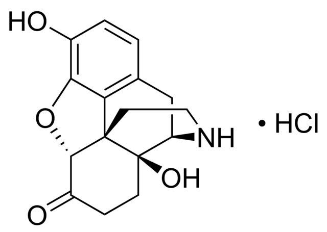 Noroxymorphone hydrochloride solution