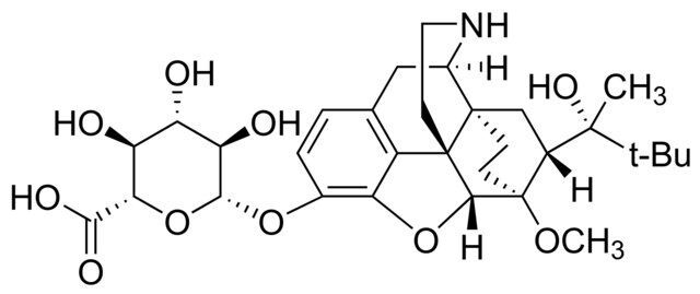 Norbuprenorphine glucuronide solution