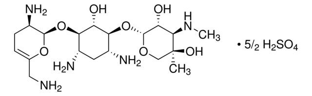 Sisomicin sulfate salt