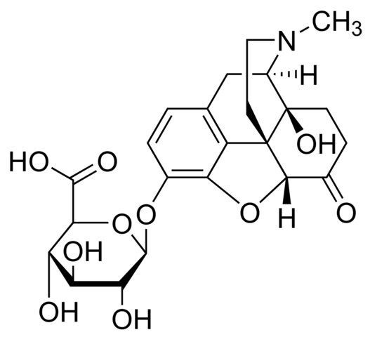 Oxymorphone-3-β-D-glucuronide solution