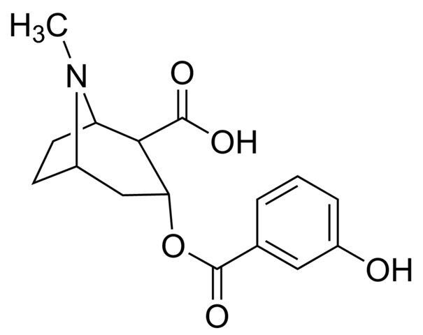 m-Hydroxybenzoylecgonine solution