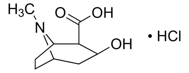 Ecgonine hydrochloride solution