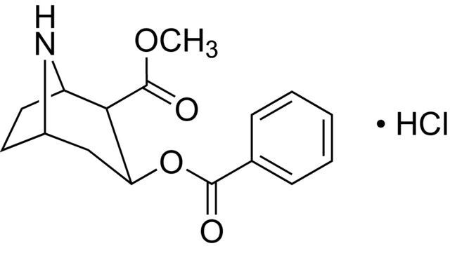 Norcocaine hydrochloride solution