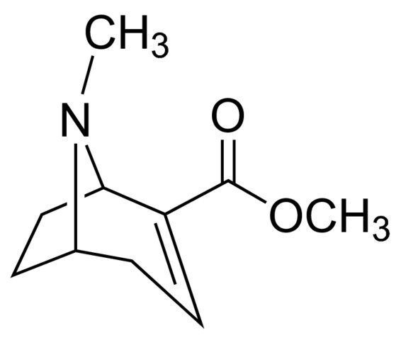 Anhydroecgonine methyl ester solution