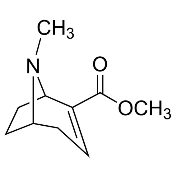 Anhydroecgonine methyl ester solution