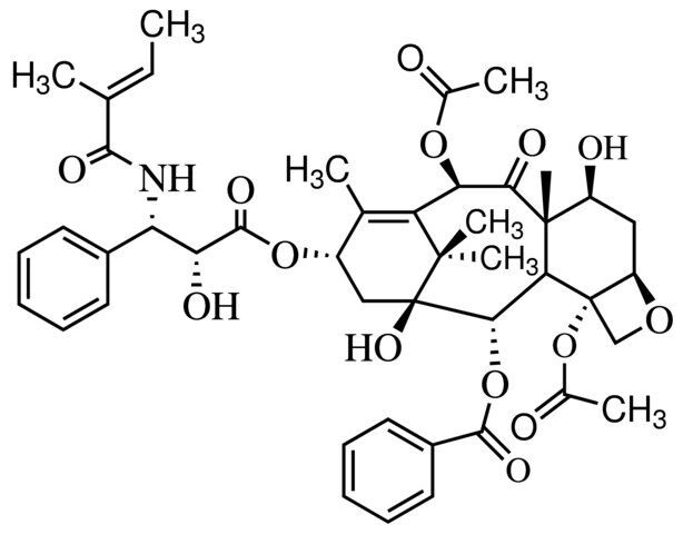 Paclitaxel Related Compound A