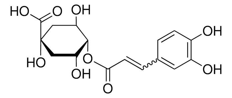 Cryptochlorogenic acid