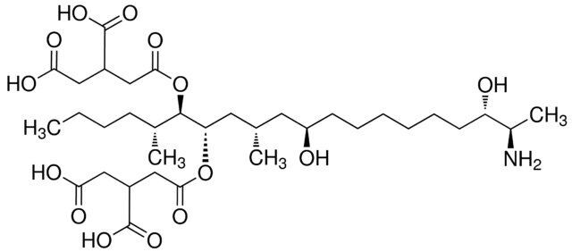 Fumonisin B3 solution