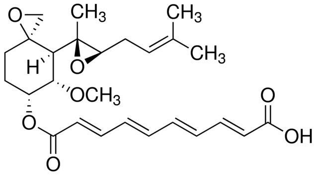 Fumagillin solution