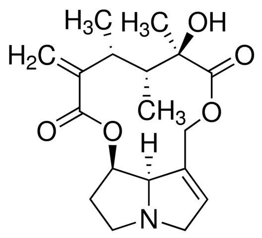 Senecivernine