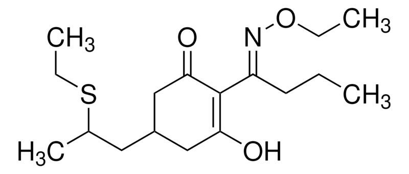 Sethoxydim