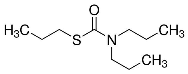 Vernolat