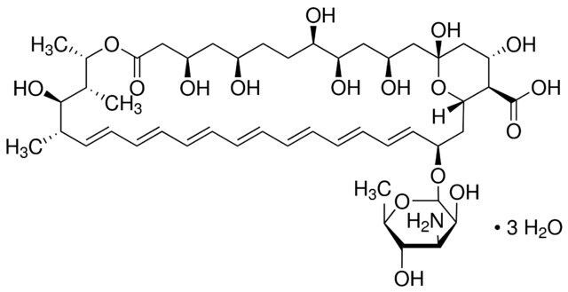 Amphotericin B