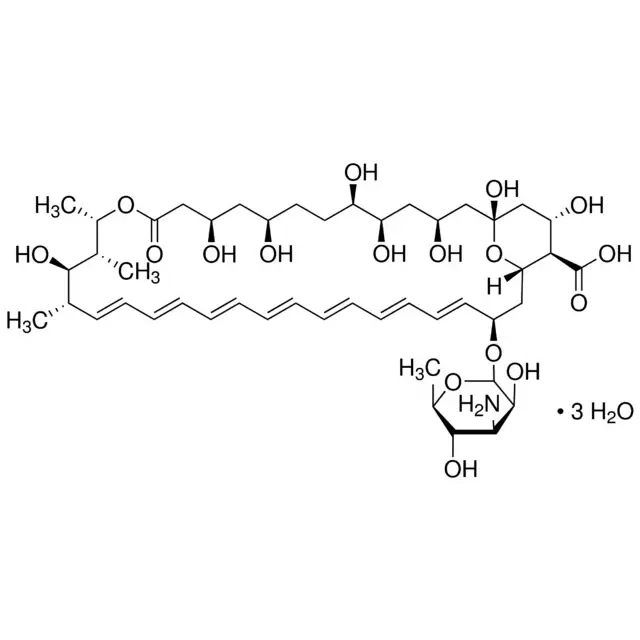 Amphotericin B solubilized